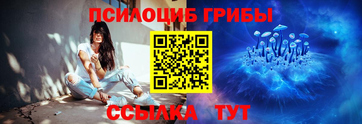Галлюциногенные грибы мицелий  Вход с VPN  Северобайкальск 